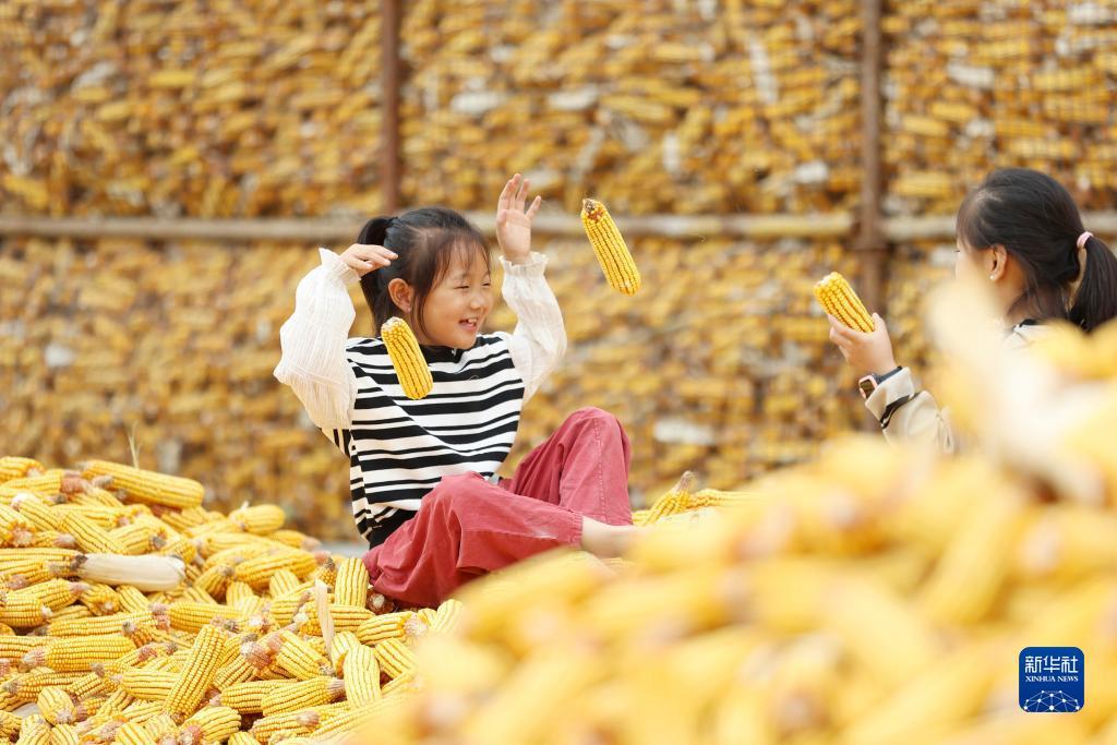 腾龙银钻娱乐